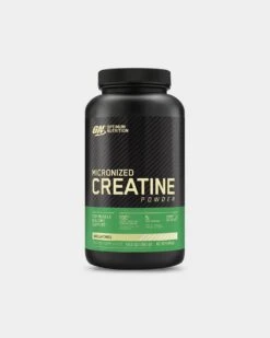 Optimum Nutrition Micronized Creatine Powder