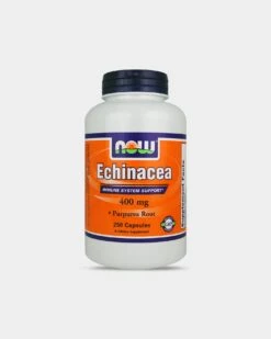 NOW Echinacea