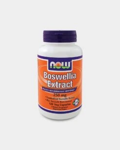 NOW Boswellin Extract